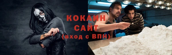 мет Алексин