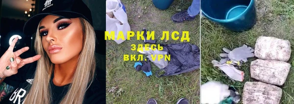 мет Алексин