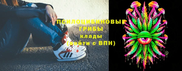 мет Алексин